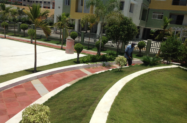 chennai swimming pool designers, chennai swimming pool maintenance, chennai gardening, chennai landscape architects, landscape in chennai,